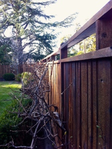 Fence Rehab - 335 feet of 18 year-old fence.  Mended, power-washed, stained.